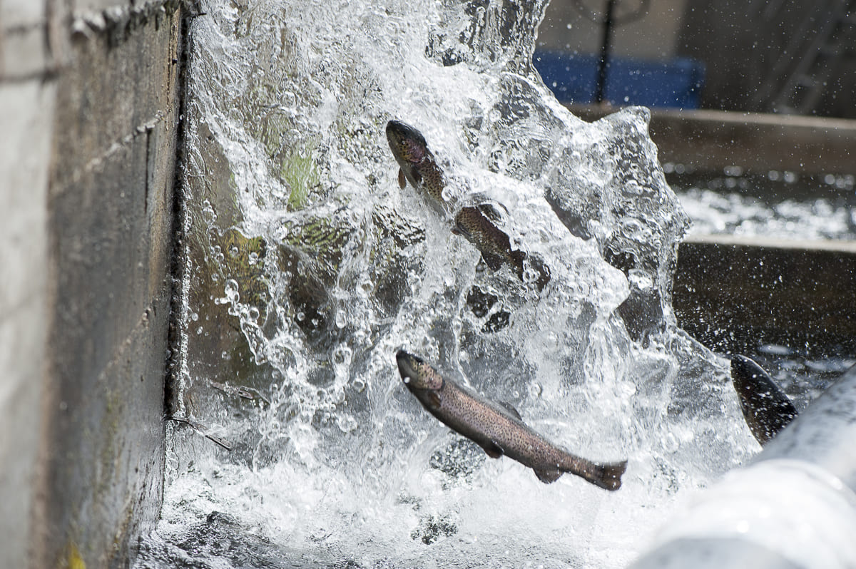 En RiverFresh apostamos por la Revolución Azul.