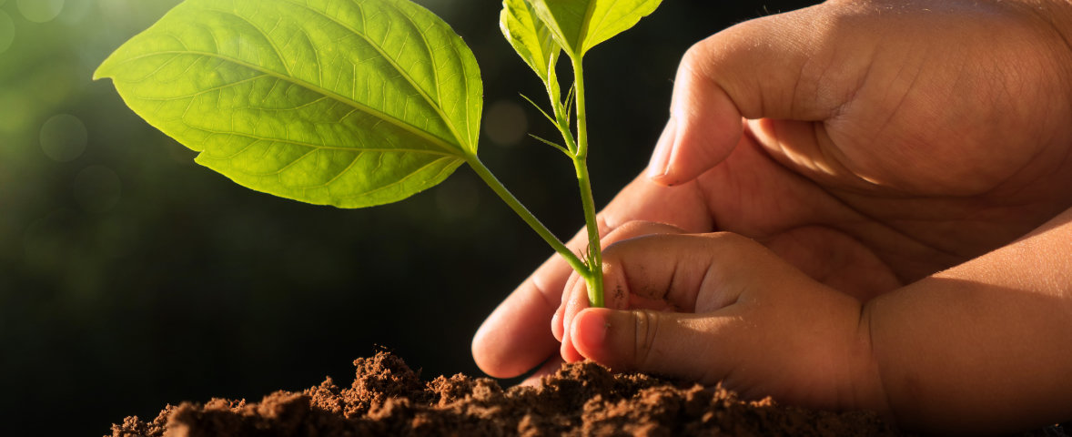Agricultura sostenible